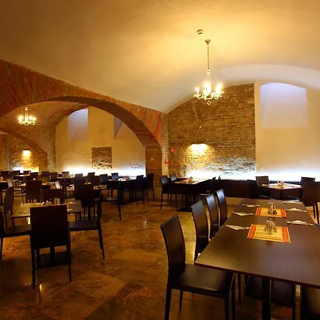 Elephant Design Praga